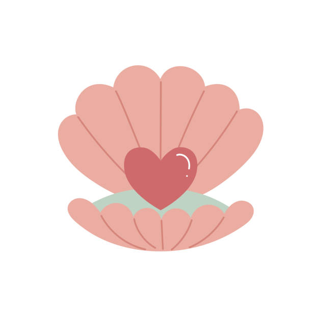 illustrations, cliparts, dessins animés et icônes de coquillage rose mignon avec une perle en forme de cœur, animaux sauvages sous-marins, crustacés. illustration vectorielle plate isolée sur fond blanc. - clam