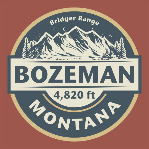 emblem mit dem namen bozeman, montana - skiing ski winter sport freestyle skiing stock-grafiken, -clipart, -cartoons und -symbole