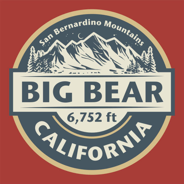 emblem mit dem namen von big bear lake, kalifornien - skiing ski winter sport freestyle skiing stock-grafiken, -clipart, -cartoons und -symbole