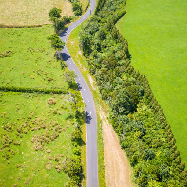 istock Summer highway - aerial view 1365827678
