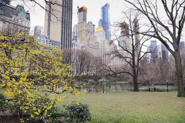 New York City Manhattan Central Park