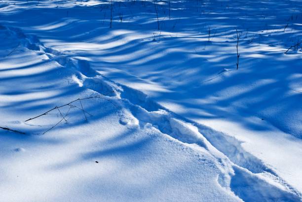 istock people track on a snow background 1365828477