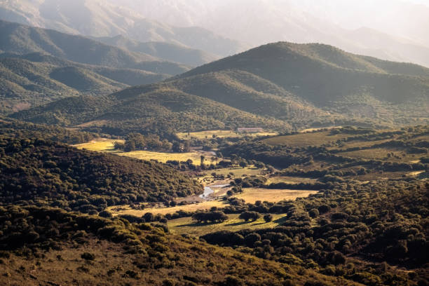 The Ostriconi river flowing through the lush green Ostriconi valley in the Balagne region of Corsica