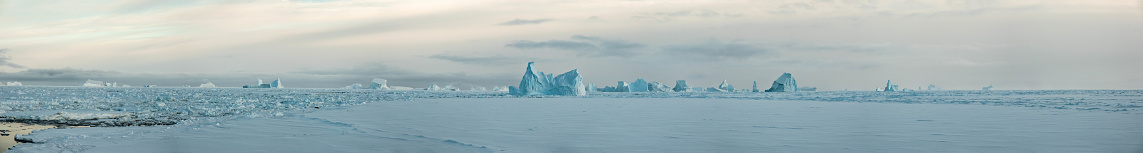 A panoramic image of icebergs floating in a field of ice