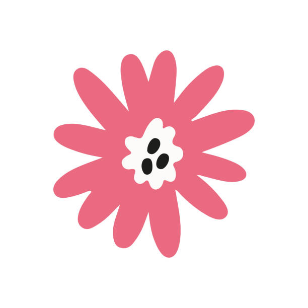 illustrazioni stock, clip art, cartoni animati e icone di tendenza di fiore piatto rosa - shorts