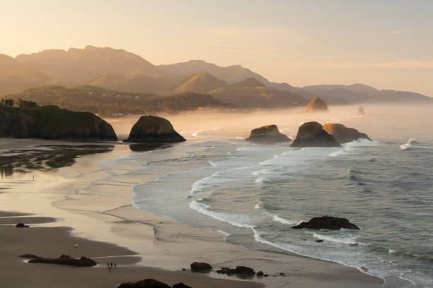 istock Sea stacks at Cannon Beach at Sunrise 1365830104