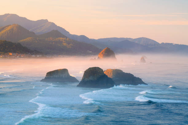 piles de mer à cannon beach à sunrise - oregon beach photos et images de collection