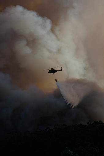 A firefighting helicopter pours water into a forest to put out a forest fire