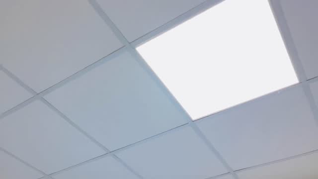 Office room ceilings