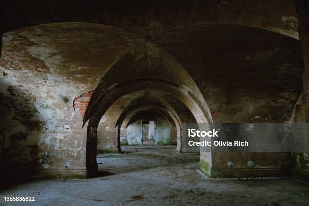 Abandoned Building The Interior Of The Old Building With Rounded Arches And Unusual Ceiling Vaults Shabby Old Brick Sprinkled With Plaster Grundy Interior Decoration With Green Fungus On The Walls Stock Photo - Download Image Now