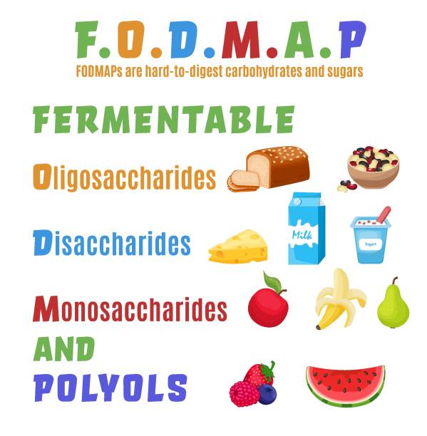 Fodmap. Carbohydrates and sugars. Editable vector illustration Fodmaps are hard to digest carbohydrates and sugars. Healthy nutrition infographics. Irritable Bowel Syndrome. Digestive problems causes. Editable vector illustration isolated on a white background oligosaccharide stock illustrations