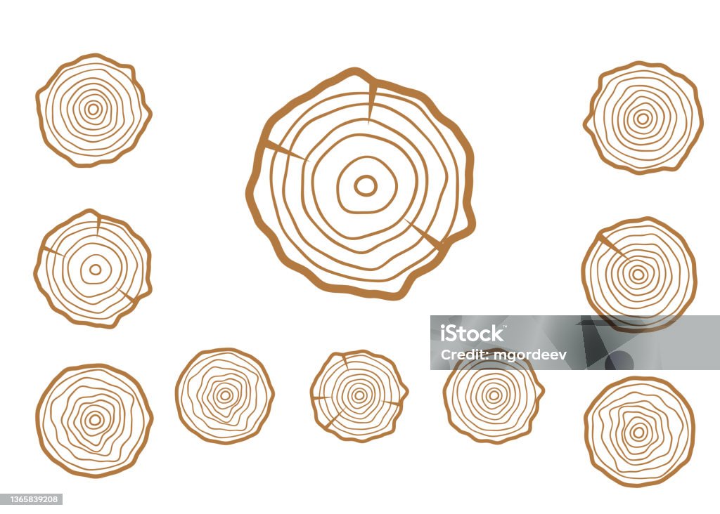 Tree Vector Circle Vector Tree Rings Wood Texture Vector Abstract Circle Tree Background ...