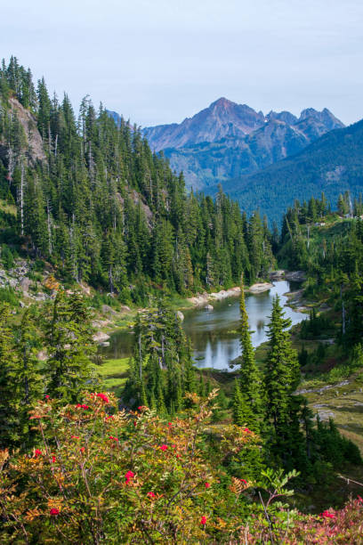 istock Scenery at Heather Meadows in Mt Baker Recreation Area 1365841017