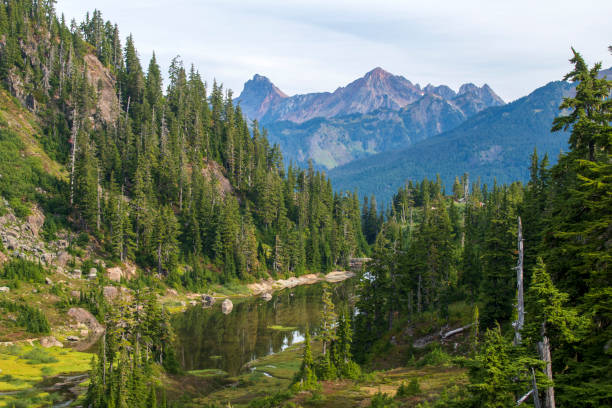 istock Scenery at Heather Meadows in Mt Baker Recreation Area 1365841025