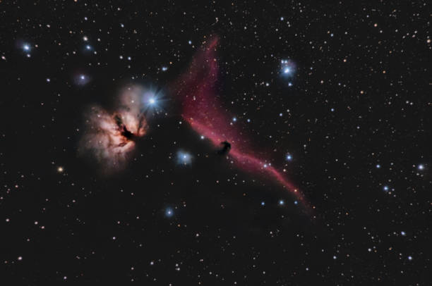 ngc 2024 または炎星雲と ic 434 夜空のオリオン座の馬頭星雲 - horsehead nebula ストックフォトと画像