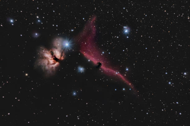 ngc 2024 lub mgławica płomień i ic 434 mgławica głowa konia w gwiazdozbiorze oriona na nocnym niebie - horsehead nebula zdjęcia i obrazy z banku zdjęć
