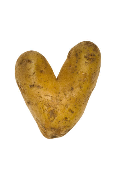 白い背景に隔離された傷を持つハート形の本物のジャガイモ。 - heart shape raw potato food individuality ストックフォトと画像