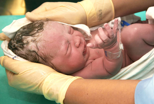 istock Newborn baby 1365845624