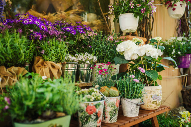istock Flowers make out life more beautiful 1365847114