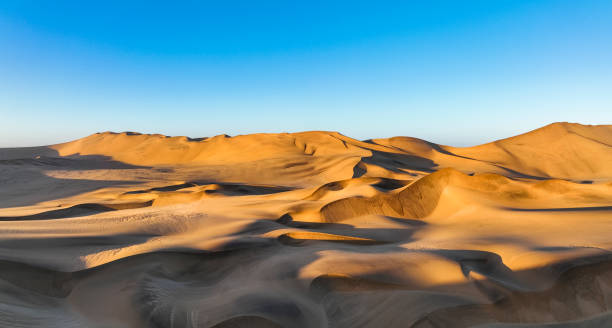 panoramic desert dunes in shadow and light of sunrise - extreme terrain desert africa landscape imagens e fotografias de stock