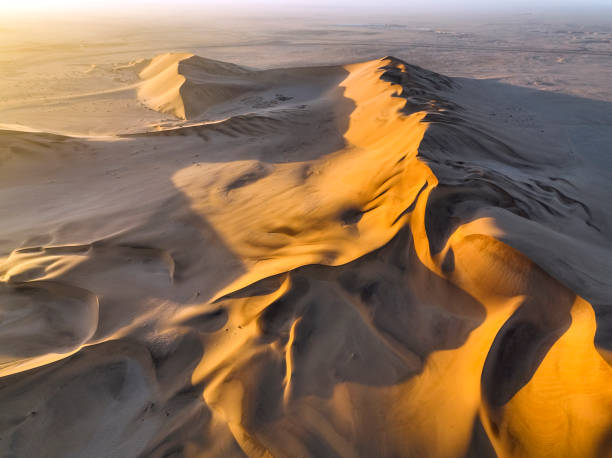 istock High angle view textured desert dunes at dawn 1365849981