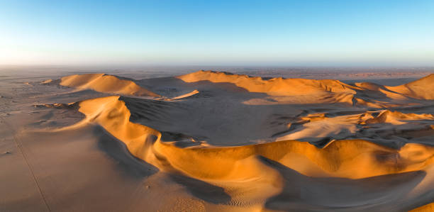 istock Panoramic view of dunes at sunrise 1365849983