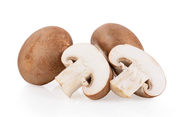 istock Fresh champignon mushrooms isolated on white 1365852582