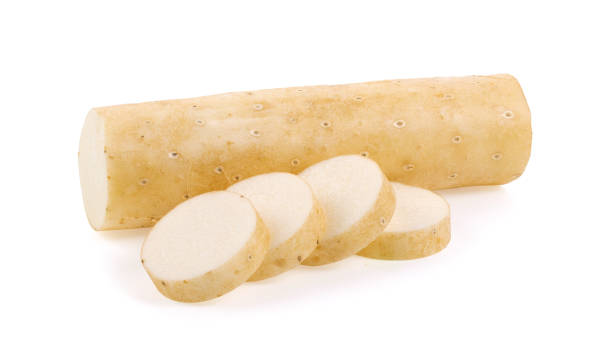 istock Chinese yam on white 1365852616