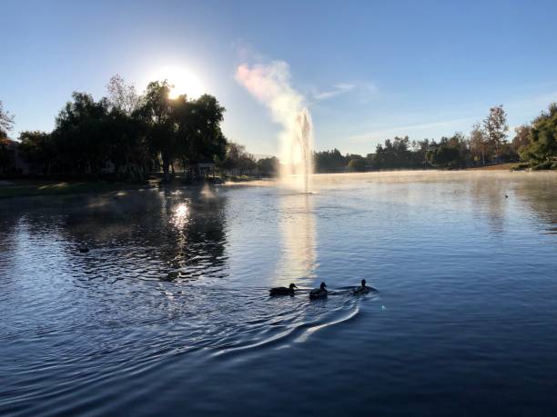 istock Cold morning on the lake 1365853817