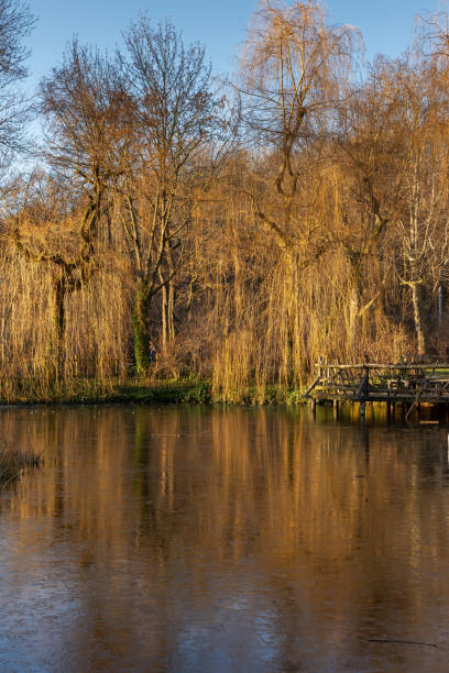istock Fountain in the park Volkspark Friedrichshain 1365853912