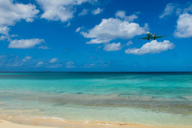 istock White sand beach in the Caribbean 1365855465