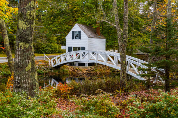 istock arched white wooden foot bridge 1365858137