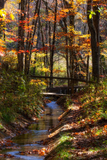 istock Mabry Mill on the Blue Ridge Parkway in Virgina 1365860165
