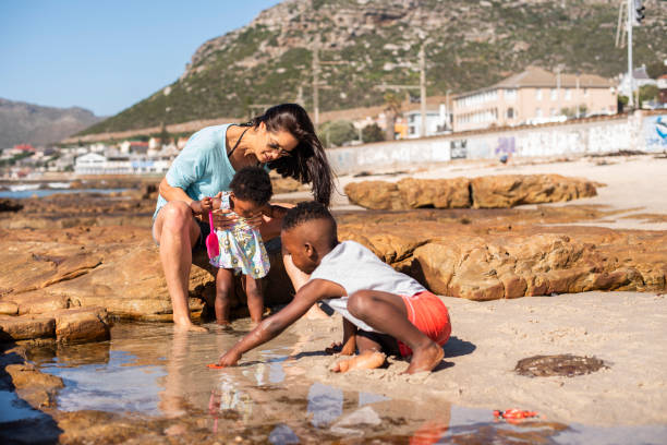 Mom and her cute little children exploring a tide pool together Mother and her cute little adopted children playing tide pools during a trip to the beach in summer tidal pool stock pictures, royalty-free photos & images