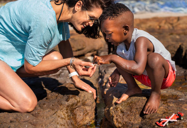 Smiling mom and little son exploring tide pools together in summer Smiling mom and her cute little adopted son exploring a tidal pool together during a trip to the seaside in summer tidal pool stock pictures, royalty-free photos & images