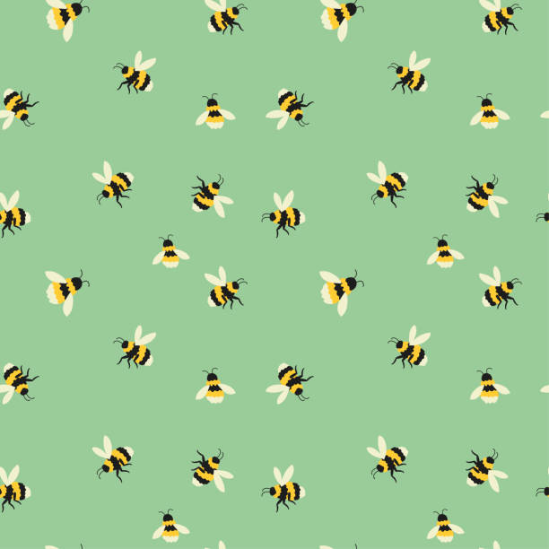 ilustrações de stock, clip art, desenhos animados e ícones de bee pattern - abelha