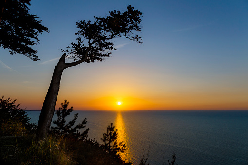 Summer view at sunset from the cliff on the Baltic coast, Wolinski National Park in Wolin island, Poland