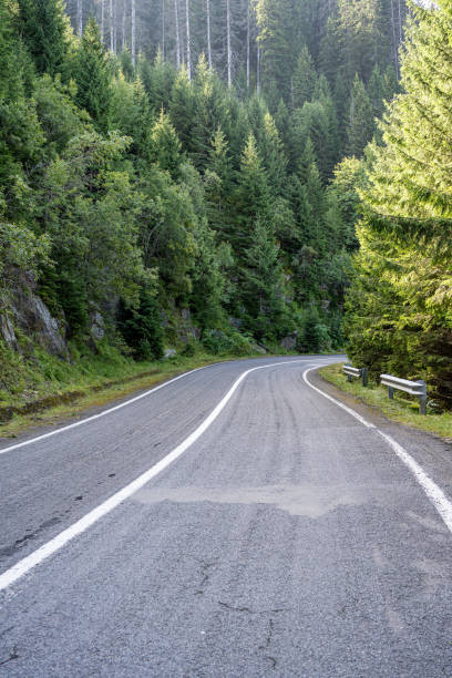 Transfagarasan Road - mountain road in Romanian Carpathian at summer stock photo