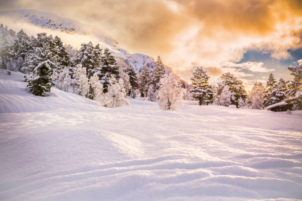 istock Snow Landscape Background with sunrise, Stryn 1365865870