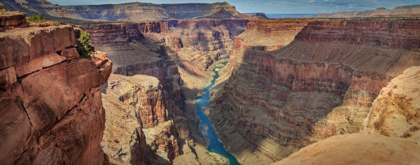 fleuve colorado dans le grand canyon depuis toroweap - canyon photos et images de collection