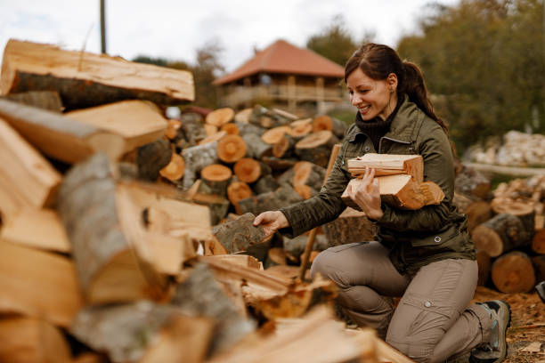 istock Collects wood to light a fire. 1365866735