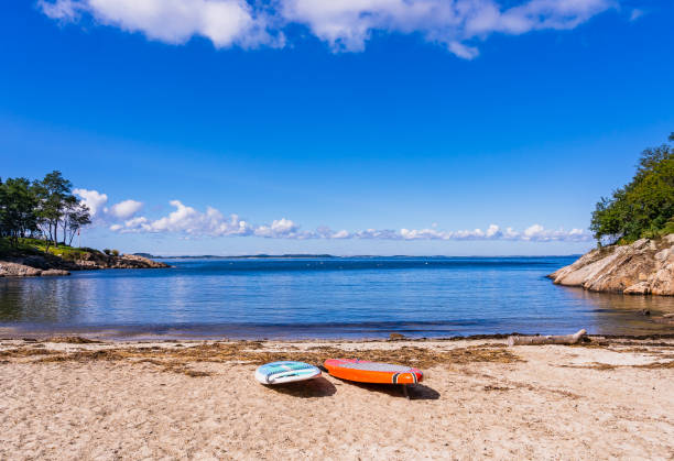 paddleboards dans le golfe de l’océan atlantique par temps ensoleillé - cape ann photos et images de collection