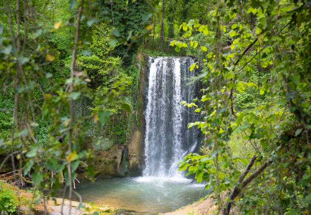 istock Beautiful waterfall in green forest among trees 1365868944