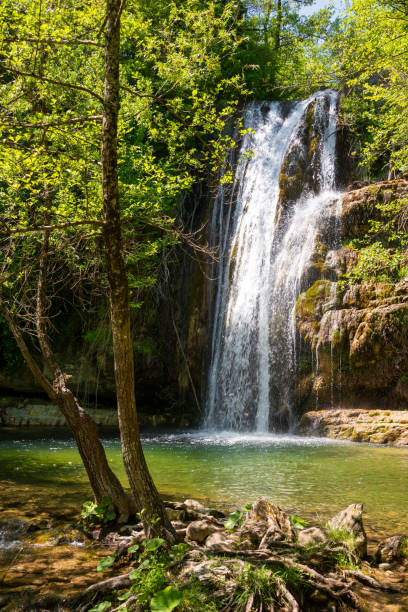 istock Beautiful waterfall in green forest among trees 1365869033