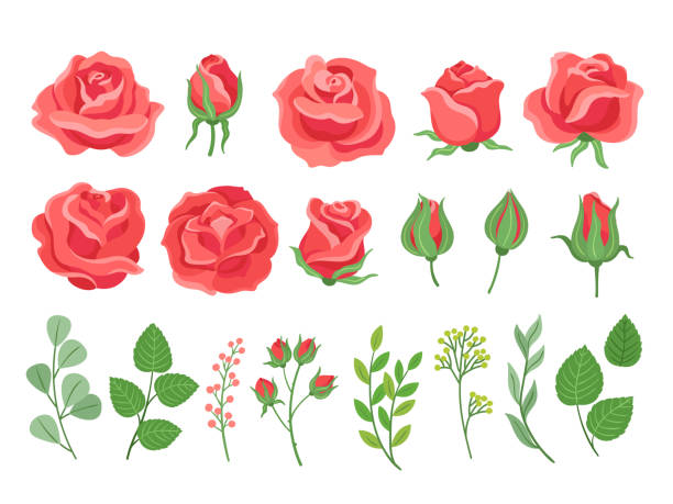 Cartoon Of A Red Rose Garden Illustrations, Royalty-Free Vector Graphics &  Clip Art - iStock