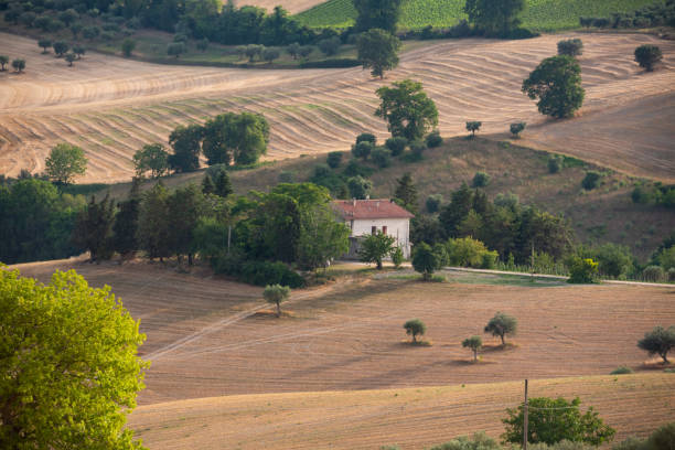 istock Rural landscape with farm fields and trees 1365870874
