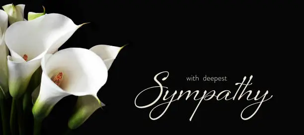 Photo of Sympathy card with white calla lilies isolated on black background