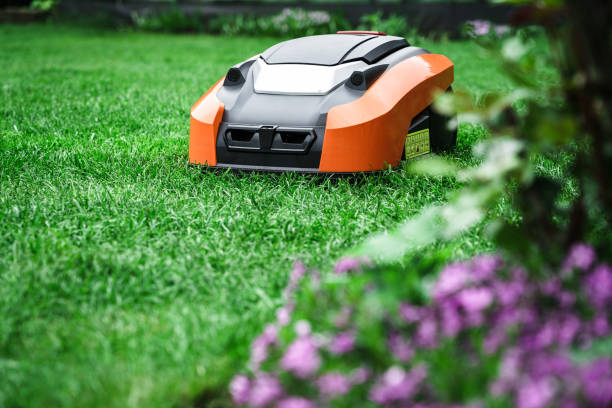 robot trawnikowy kosi trawnik. robotyczna kosiarka do koszenia trawy w ogrodzie. - kosiarka zdjęcia i obrazy z banku zdjęć