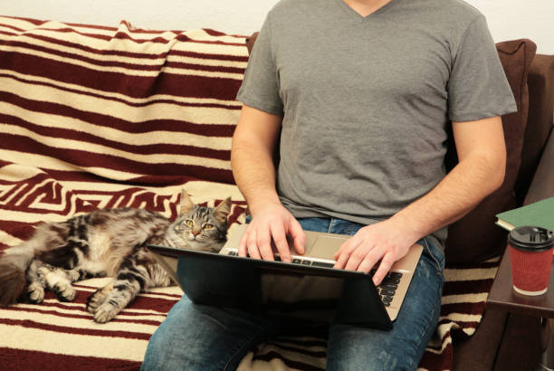 istock Businessman and cat working at home with a laptop on sofa. 1365874449