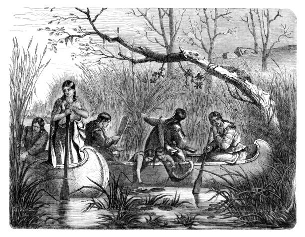 Native american people harvesting wild rice in river 1869 Native american people harvesting wild rice in river 1869
Original edition from my own archives
Source : Illustrierte Welt - 1869
Drawing : Döpler
Graveur : Specht comanche indians stock illustrations